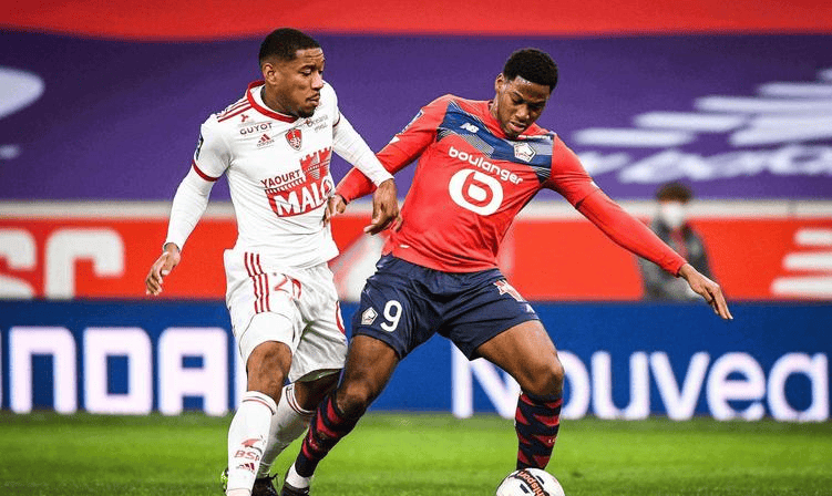 共计仅6个 共计仅6个